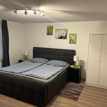 Ferienhaus Ayna, Direkt An Der Schweizer Grenze Bad Säckingen Buitenkant foto