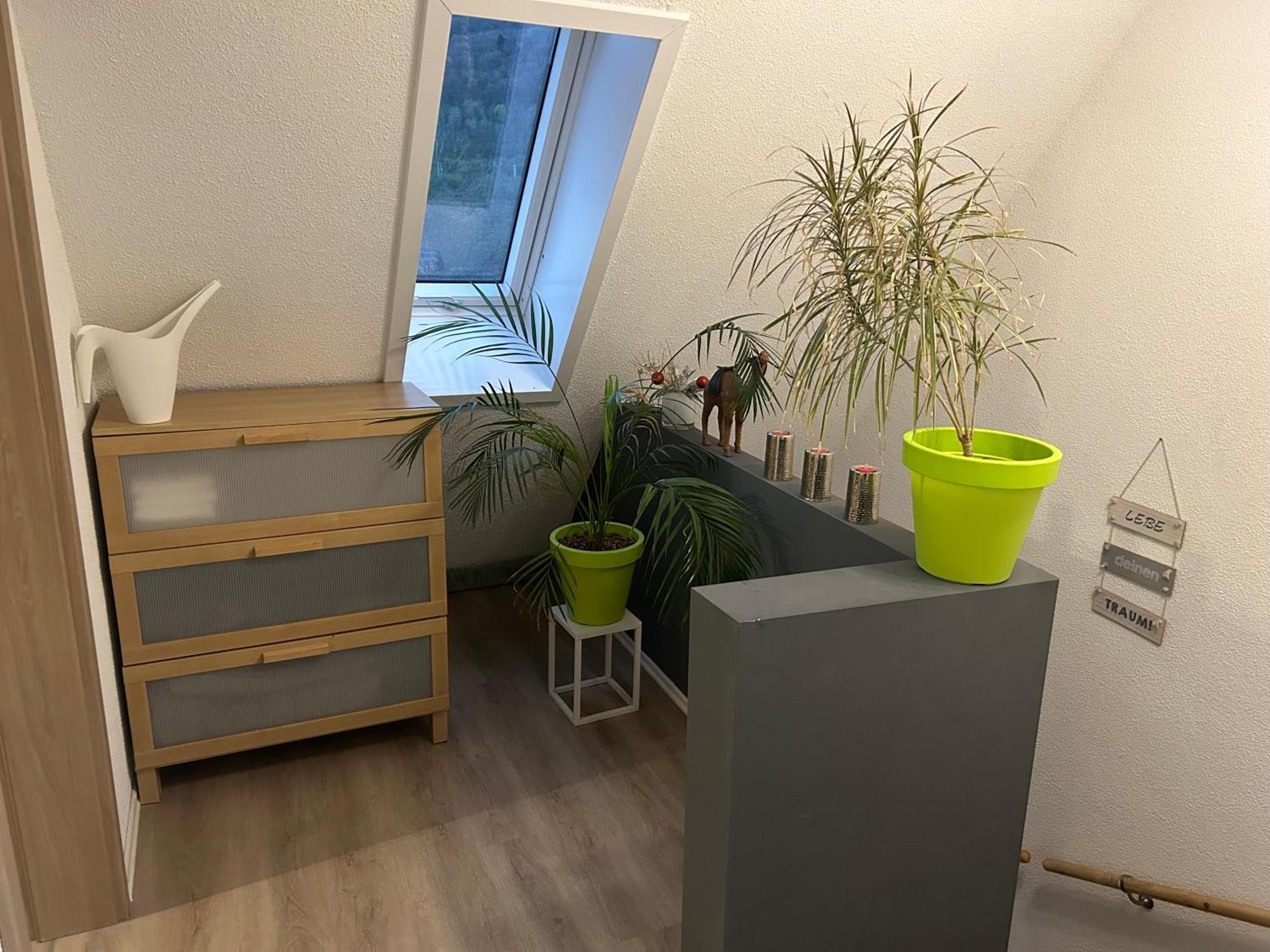 Ferienhaus Ayna, Direkt An Der Schweizer Grenze Bad Säckingen Buitenkant foto